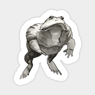 African Bullfrog Black and White Ink Drawing Magnet