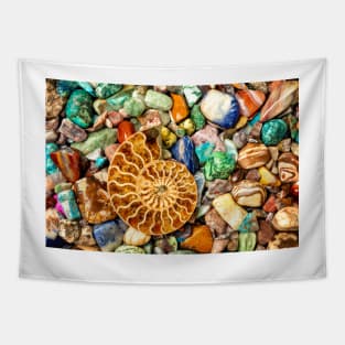 Fossilized Nautilus Shell On Polished Stones Tapestry