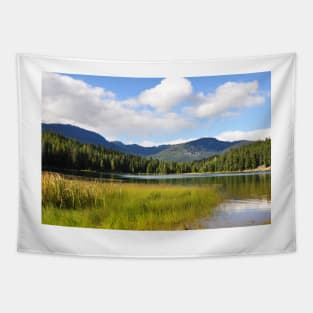 Hidden Lake Tapestry