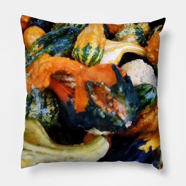 Food - Fancy Gourds Pillow by SusanSavad