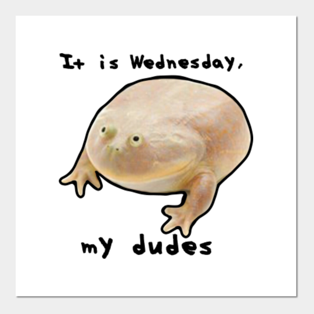 wednesday my dudes