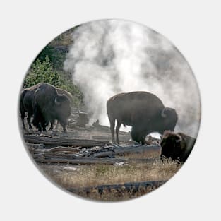 Bison in the steam pots Pin