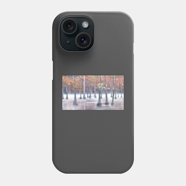 Cypress swamp in Foggy morning Phone Case by algill