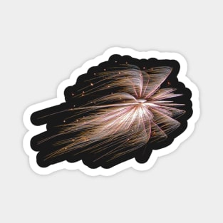 Windswept Fireworks Magnet