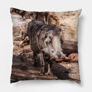 Warthog Pillow