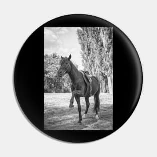 Beautiful Black Horse Pin