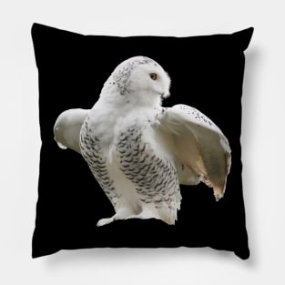 Owl Snow Pillow