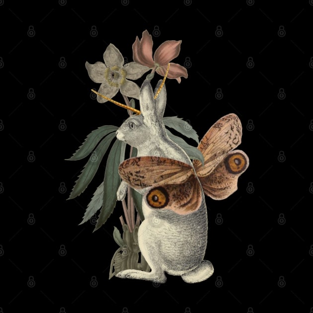 Papilio Jackalope by Black Rabbit Curiosities 