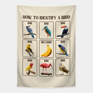 How To Identify A Bird Tapestry