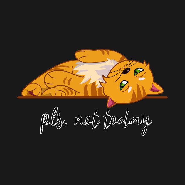 Discover Pls. not today - Cute Orange Cat - T-Shirt
