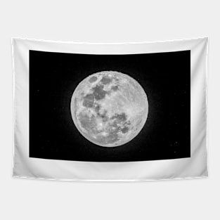 cli lunar Tapestry