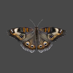 common buckeye butterfly T-Shirt