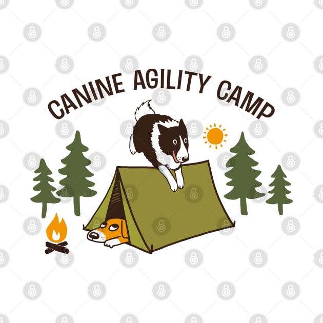 Canine Agility Camp | Border Collie Dog Agility by Coffee Squirrel