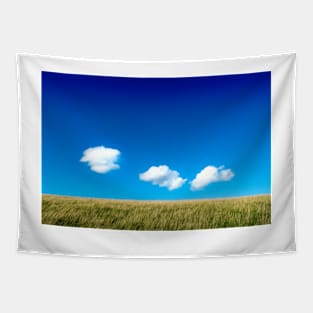 Blue sky thoughts Tapestry