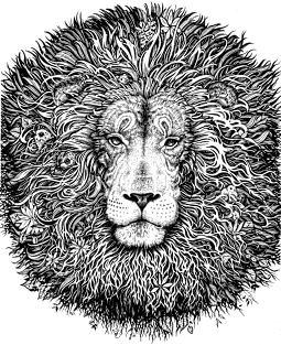 Majestic lion - black and white Magnet