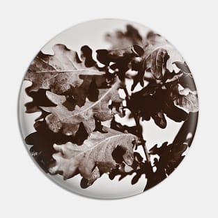 ‘Oak Leaf Cluster’ - a sepia-treated image Pin