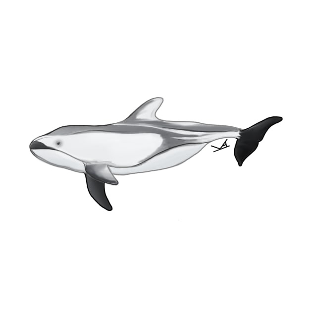 Pacific White Sided Dolphin by FernheartDesign