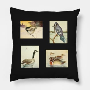 Birds of Canada Pack 2 - Chickadee, Blue Jay, Canada Goose, Wood Duck Pillow