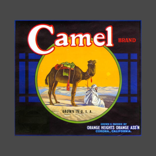 Camel Brand crate label, circa 1930s by WAITE-SMITH VINTAGE ART