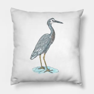 White-faced Heron Pillow