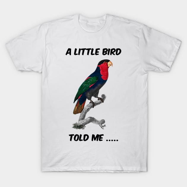 T-Shirt　parrot　Parrot　Red　Wise　TeePublic