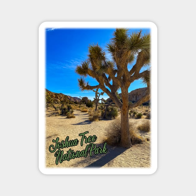 Joshua Tree National Park Magnet by gorff