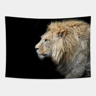 Lion f 5/4/22 / Swiss Artwork Photography Tapestry