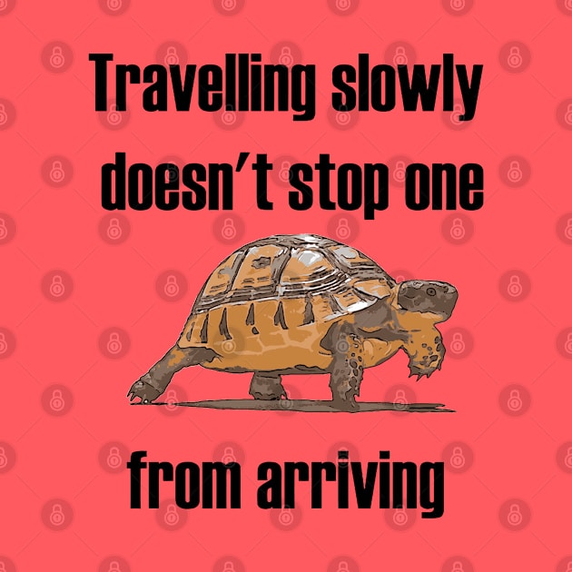 Travelling Slowly Does Not Stop You From Arriving Tortoise by taiche