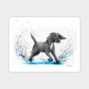 Spaniel Splash Magnet