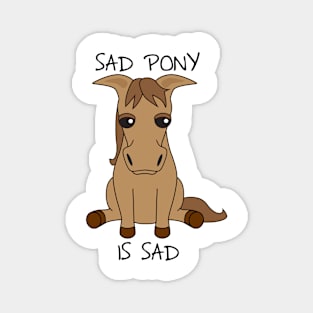 Sad Pony Is Sad Magnet