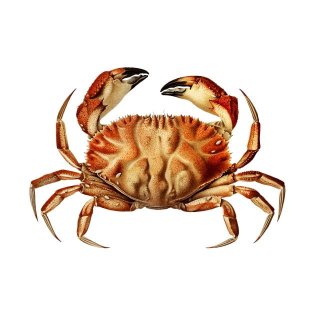 CRAB by GoshaDron