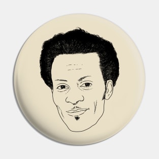 Chuck Berry Pin