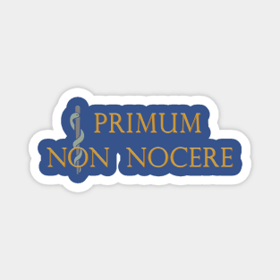 Primum Non Nocere - First, Do No Harm Magnet