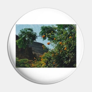 Tropical Orange Flowers Pin