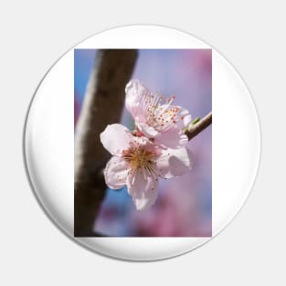 Cherry Blossom IV Pin