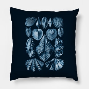 Ernst Haeckel Acephala Mollusc in Navy Pillow