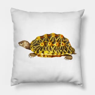 Yellow turtle in colorful vintage design Pillow