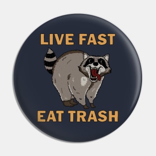 Raccoon - Live Fast Eat Trash Pin