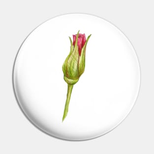 rosebud Pin