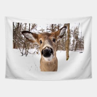 Nosey - White-tailed Deer Tapestry