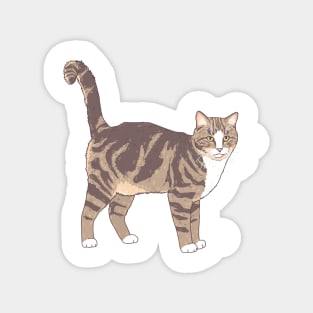 Brown and White Tabby Cat Magnet