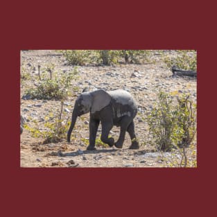 Namibia. Etosha National Park. Baby Elephant. T-Shirt