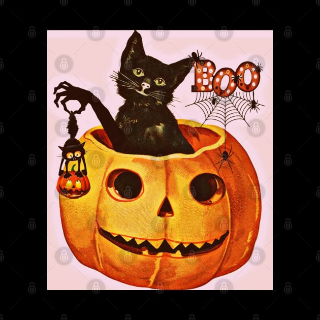 Black Cat Inside Jack O Lantern by Black Cat Alley