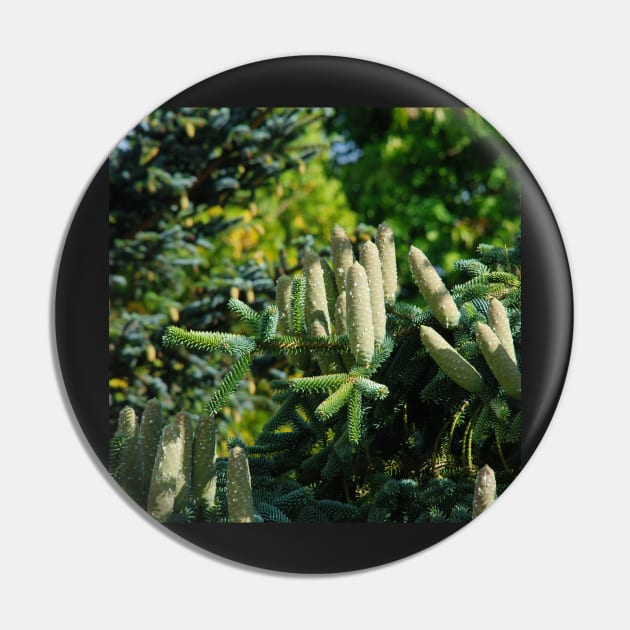 Bumper Cone Crop Pin by RichardGibb