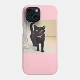 GOOD LUCK THE CAT Phone Case