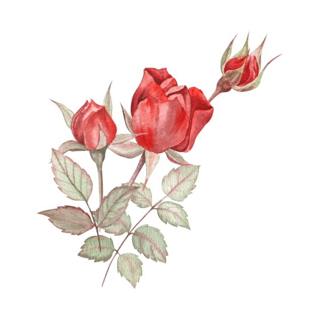 Red rose buds watercolor painting by Flowersforbear