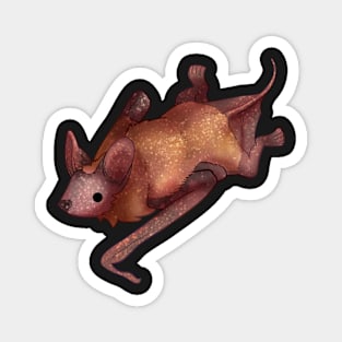 Cozy Mexican Free-Tailed Bat Magnet