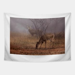 Buck eyes doe - White-tailed Deer Tapestry