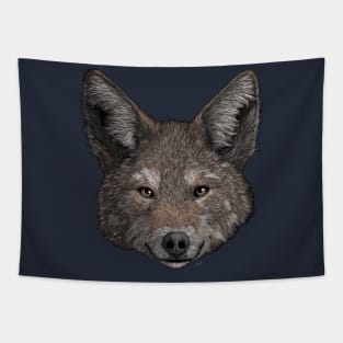 Coyote Tapestry