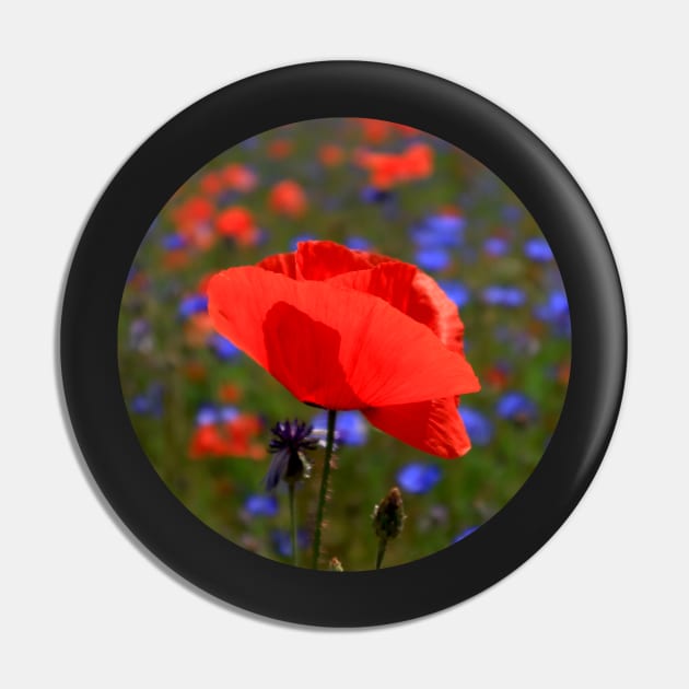 Beautiful Red Poppy Pin by KaSaPo